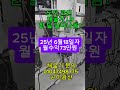 25년6월 18일자 L9수익성기록#도지코인 #라이트코인 #채굴기 #암호화폐 #비트코인