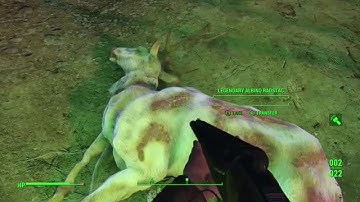 Fallout 4 Legendary nocturnal Minigun. Where & How