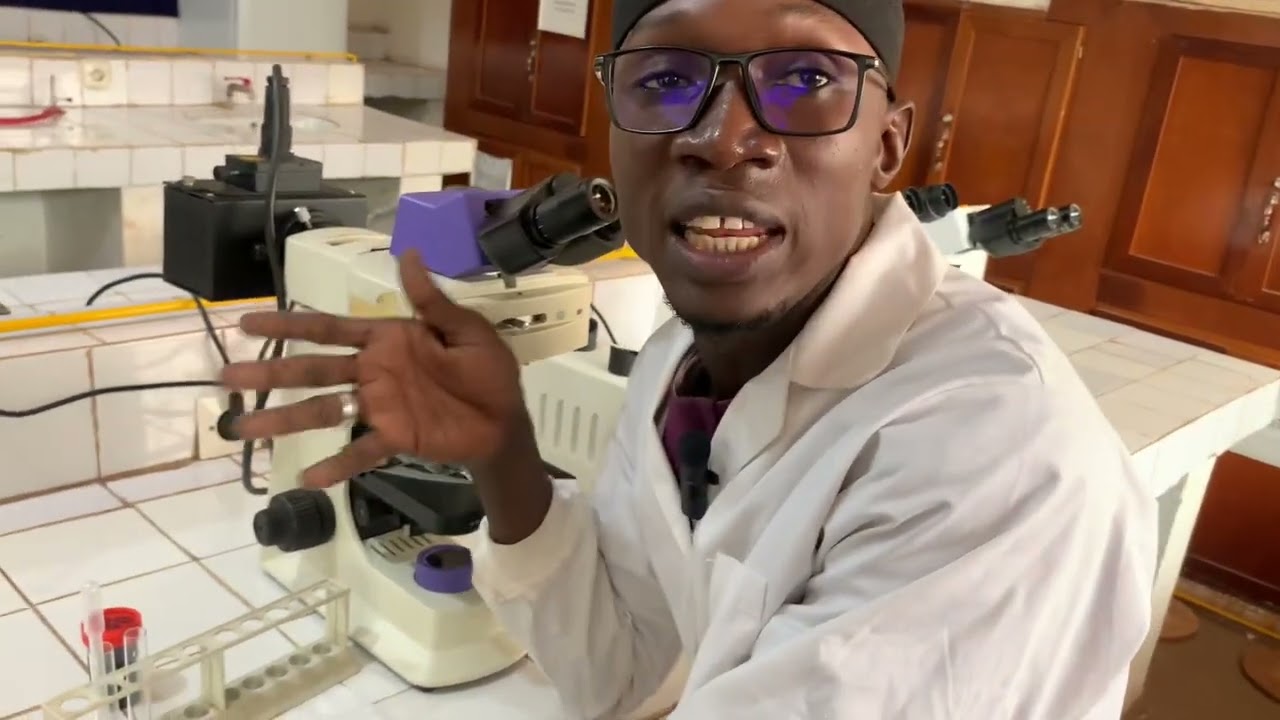 Technique de recherche des œufs de schistosoma haematobium dans les urines