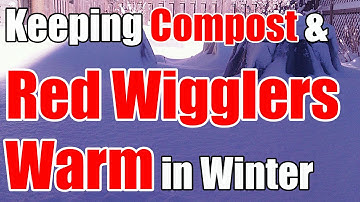 2 Min. Tip: How We Keep Compost & Red Wigglers Warm All Winter