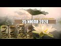 🕉25 ИЮЛЯ 2020! НАГ ПАНЧАМИ☀️ГАРМОНИЗИРУЕМ РАХУ И КЕТУ🕉