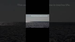 Fossil Fuel Pollution Reaches The Arctic New Study Reveals Shocking Impacts