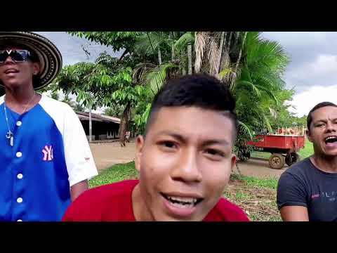 Bienvenidos a Mitú