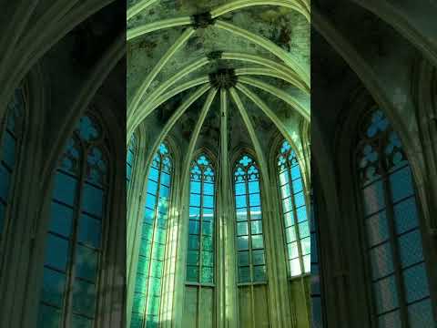 Video: Der Buchladen von der gotischen Kirche
