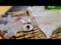 Japanese Seafood "Japanese Alive Squid Sashimi "