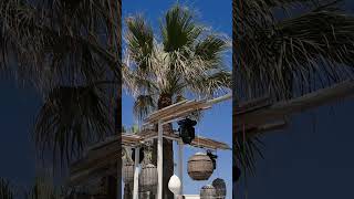 CAVO seaside Restaurant