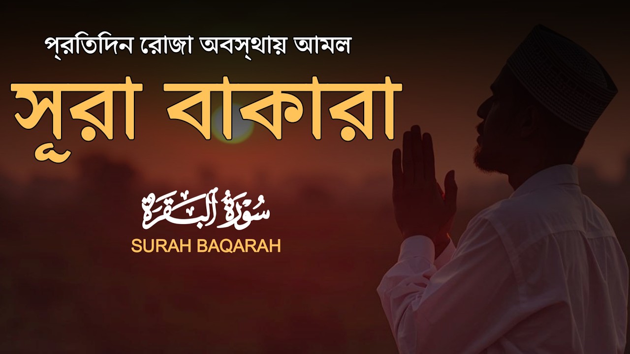 ঘরের উন্নতির জন্য সূরা আল বাকারা প্রতিদিন শুনুন । Surah Baqarah  Quran Recitation by Alaa Aqel