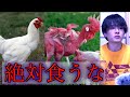 気づかないうちに我々は食べてしまっているかも知れません【都市伝説】