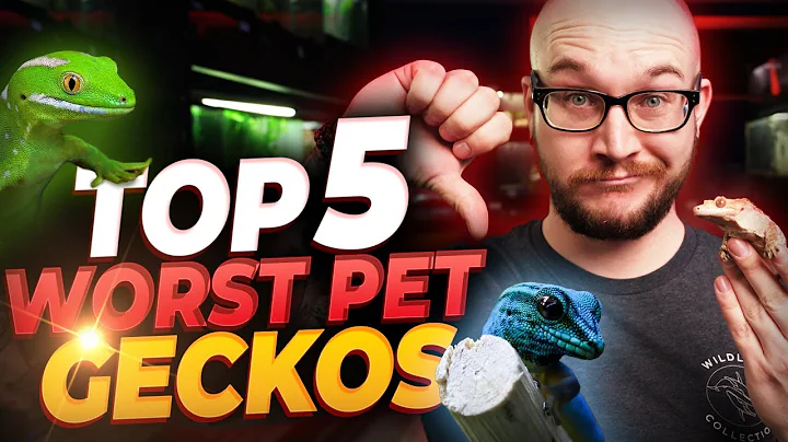 Топ-5 худших питомцев-гекконов и 5 лучших альтернатив, которые вы полюбите!
