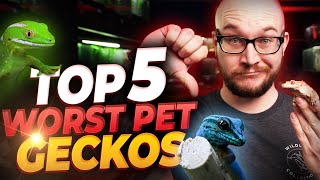 The 5 WORST Pet Geckos and 5 BETTER Options You'll Love | Bet You've Never Heard Of Number 4!