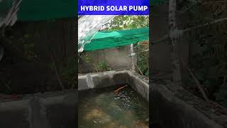AC/DC Hybrid Solar Water Pump System For Agriculture | Farm Irrigation #submersiblepump #water#solar