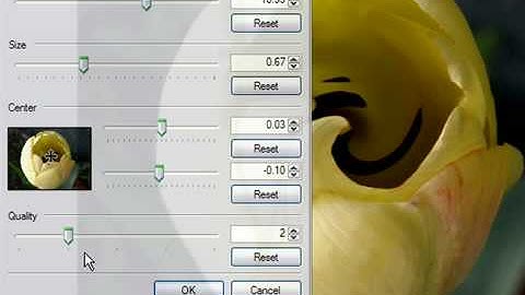 Apply a Twist Effect in Paint.NET