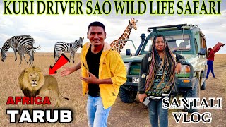 KURI DRIVER SAO WILD LIFE SAFARI SEN HUIANA LENA || SANTAL IN AFRICA #labahansda