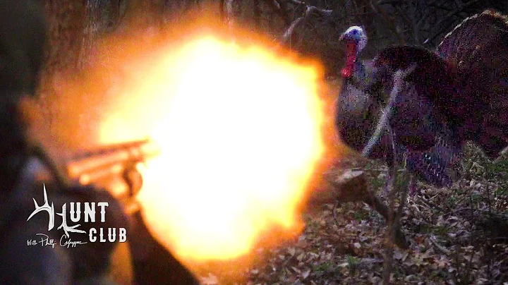 The Perfect Turkey Hunt, Down the barrel at daylight