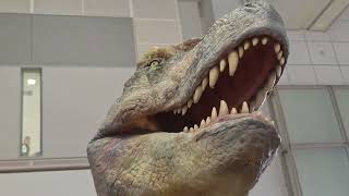 Realistic Dinosaur Experience 