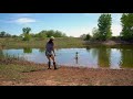 Introducing Your Puppy To Water - Gun Dog Training