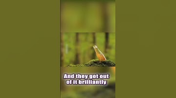 He Was Ahead… Until They Found GGEZ1 🚀🔥 | RWA Revolution