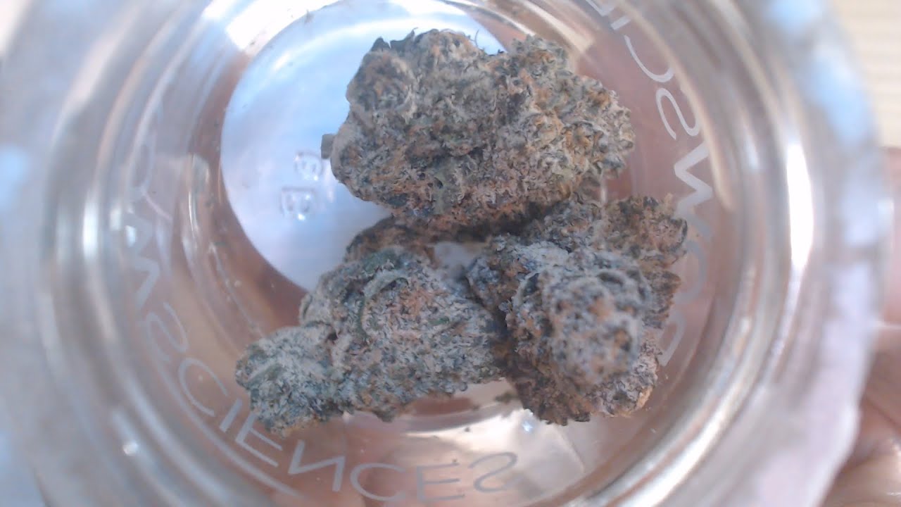 FIRST TIME TRYING | BLUE NERDS