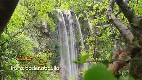 وَبِالْحَقِّ أَنزَلْنَاهُ وَبِالْحَقِّ نَزَلَ ۗ  - سورة الإسراء - سعيد الخطيب