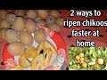 How To Ripen Chikoo Faster At Home 2 Way To Make Chikoo Sapota At Home How To Ripen Chikoo Faster At Home 2 Way To Make Chikoo Sapota At Home
