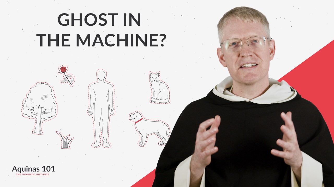 Defining Terms: The Union of Body and Soul (Aquinas 101)