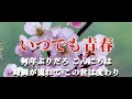 🎵舟木一夫【いつでも青春】