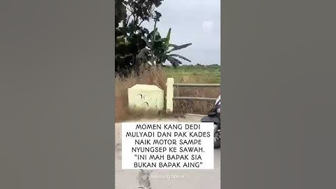 detik-detik kang dedi mulyadi nyungsep ke sawah #kangdedimulyadi #dedimulyadi#shorts#shortvideo #fyp
