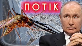 Бойові комарі, білоруські прикордонники і гумор, пам'ятник мілошевичу : ПОТІК СТРІХИ