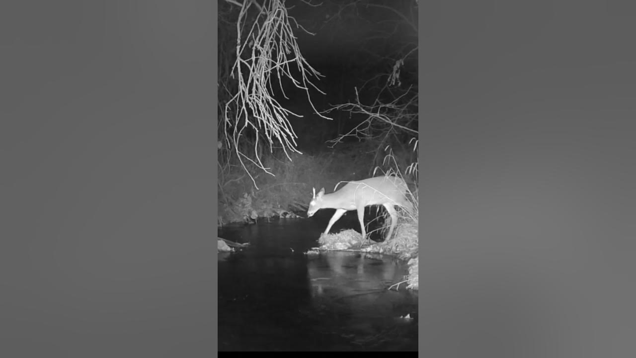 Slippery when wet! YouTube