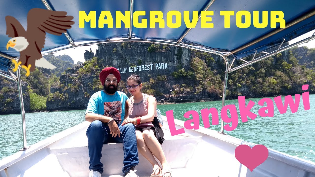 MANGROVE TOUR  LANGKAWI  MALAYSIA Kilim Geoforest park 