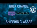 Woocommerce bulk change shipping class - quick guide