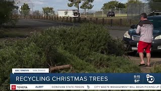 Recycling after the holidays