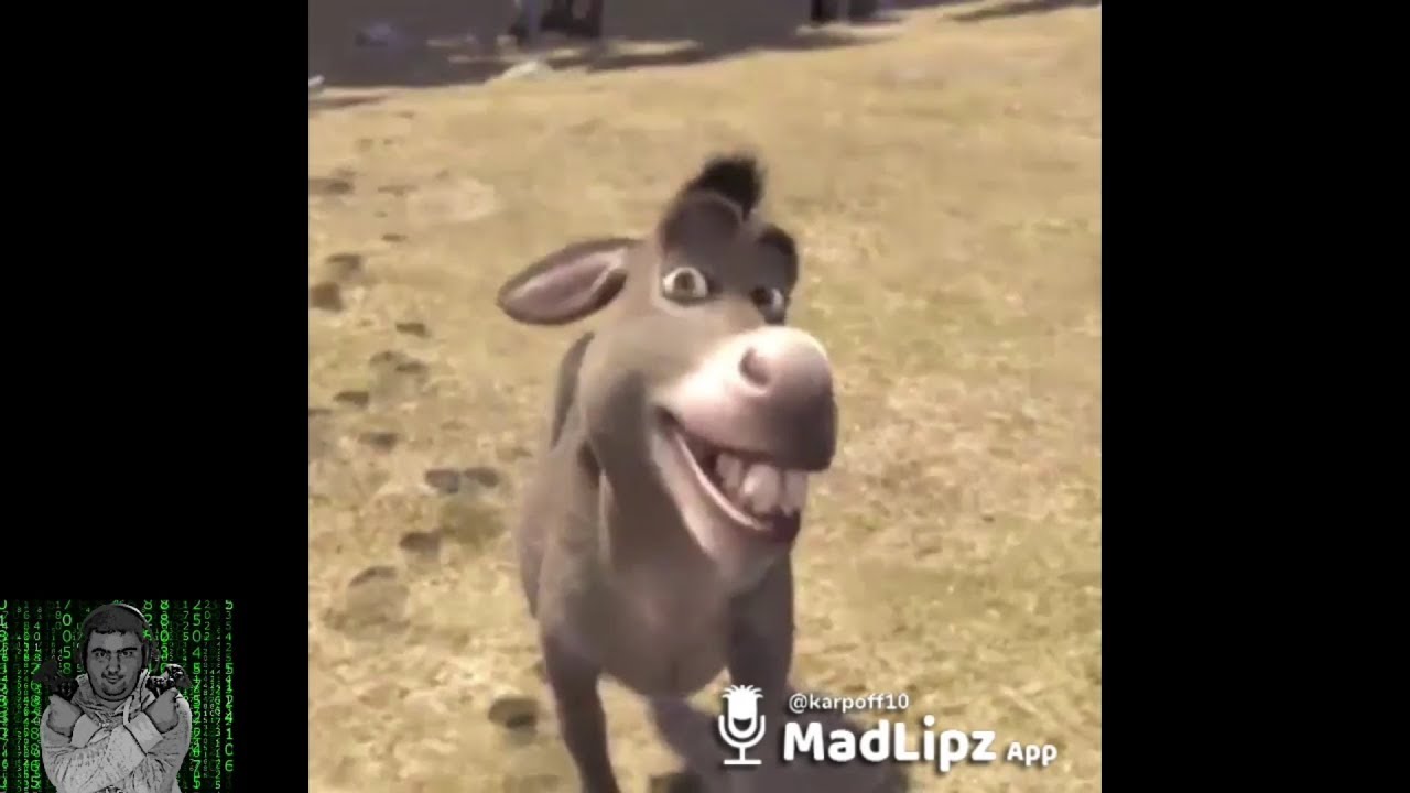 Осел из шрека мем