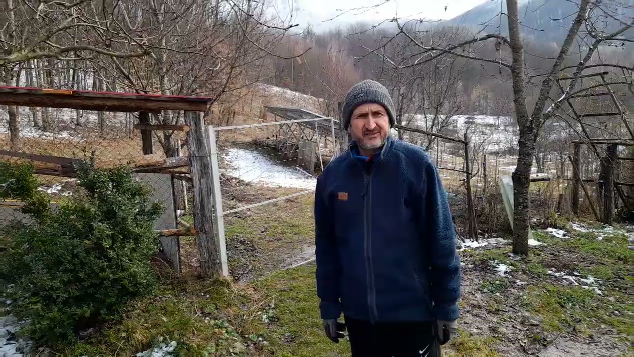 Plante comestibile spontane in februarie