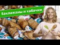 Самые вкусные блюда из баклажанов и кабачков: рецепты от Юлии Высоцкой