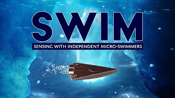 SWIM | Sensing with Independent Micro-swimmers