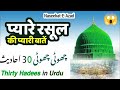 Rasullulah ke 30 khubsurat hadis  hadees sharif  hadis