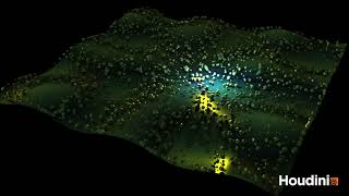 Chladni Plate with Houdini Wealth