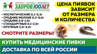 Где купить пиявки? 💥Медицинские пиявки с доставкой по Москве и всей России. Здоров 100 лет.