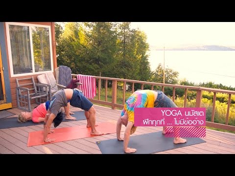 Yoga นมัสเต ฝึกทุกที่ไม่มีข้ออ้าง - ฝึกโยคะออนไลน์ ฝึกโยคะฟรี (Ep 1)