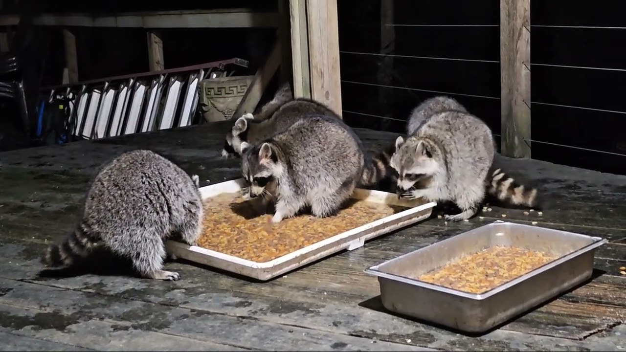 This is from Thursday February 26th