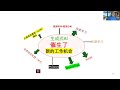 数据分析师免费学习 | 数据分析实例|生成式AI催生新的工作 || SQL | SAS |Python| tensorflow |Keras |idataglobal8