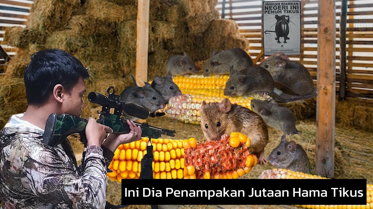 Я НЕ МОГ ПОВЕРИТЬ! ОХОТИТЬСЯ НА ТАК МНОГО КРЫС-ВРЕДИТЕЛЕЙ || ОДНА ДЕРЕВНЯ ДОБЫВАЕТ КРЫС