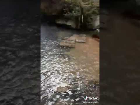 بتذكر شو حكيو علي لما نطرت وإنت نسيت يا سنين لراحت رجعيلي السيدة فيرزو فيروزيات