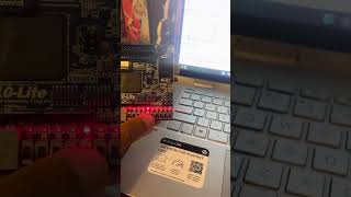 ECEN 218 Lab 5 Decoder/Mux