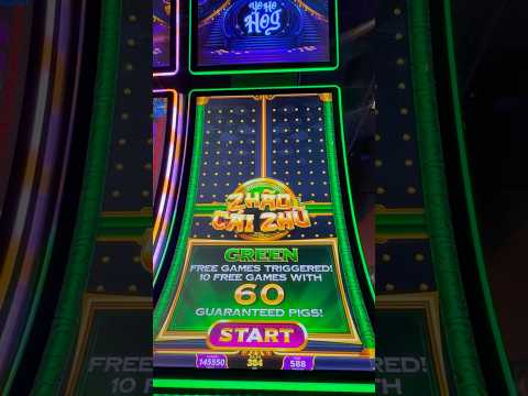 Experience the Thrill of 55bet Casino: Play Top Online Games in English, Exclusively for UK Players