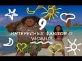 Musteed presents: 9 интересных фактов о Моане