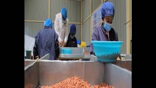 Groundnuts Value addiction - Farm Kenya screenshot 3