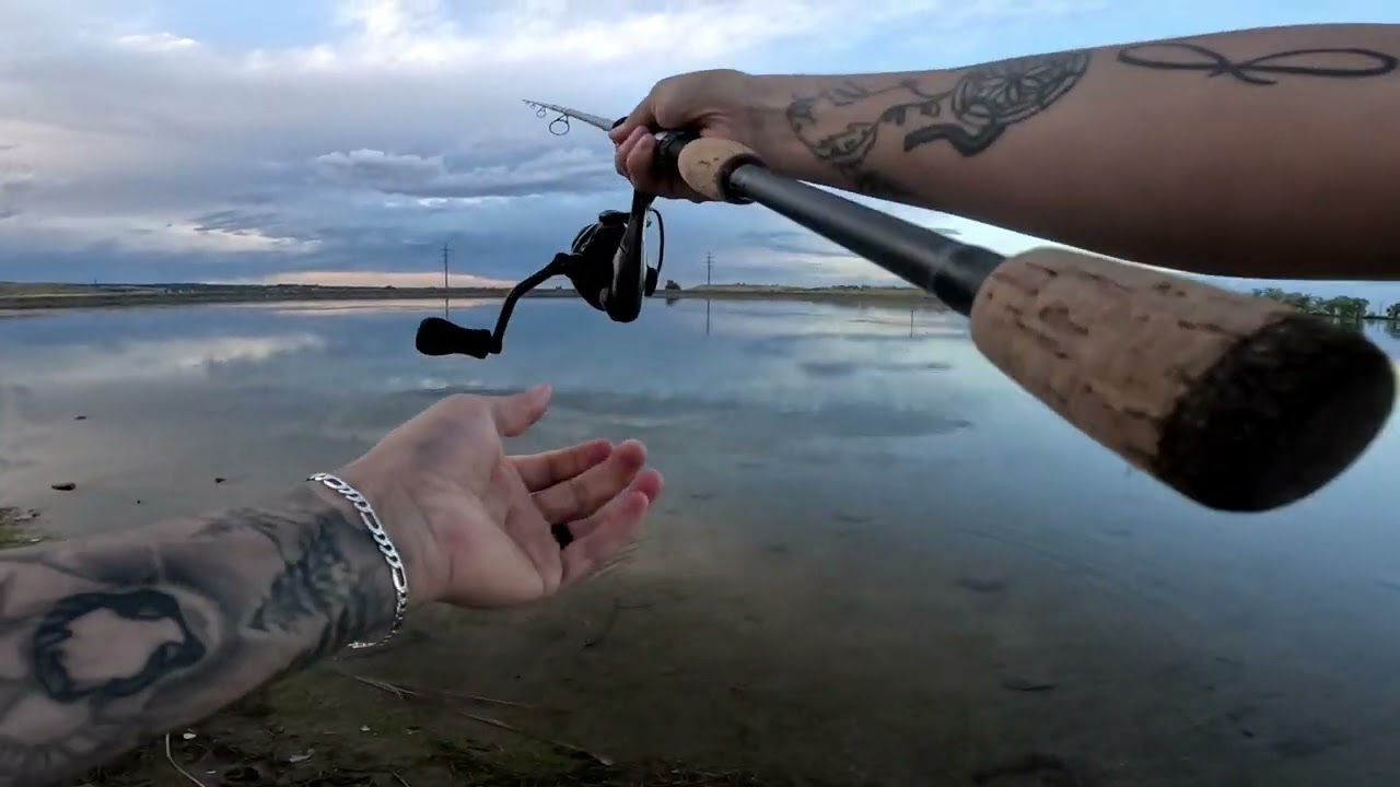 COLORADO BASS FISHING!