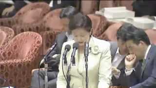 20120516 衆議院社会保障・税特別委員会-1